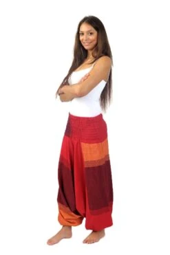 Sarouel Sanjeevani Mixte